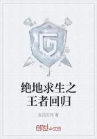 风起时梦筱二原著小说未删减