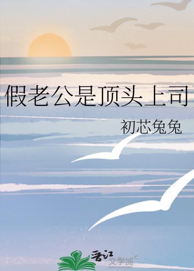 天鹅绒之夜封面