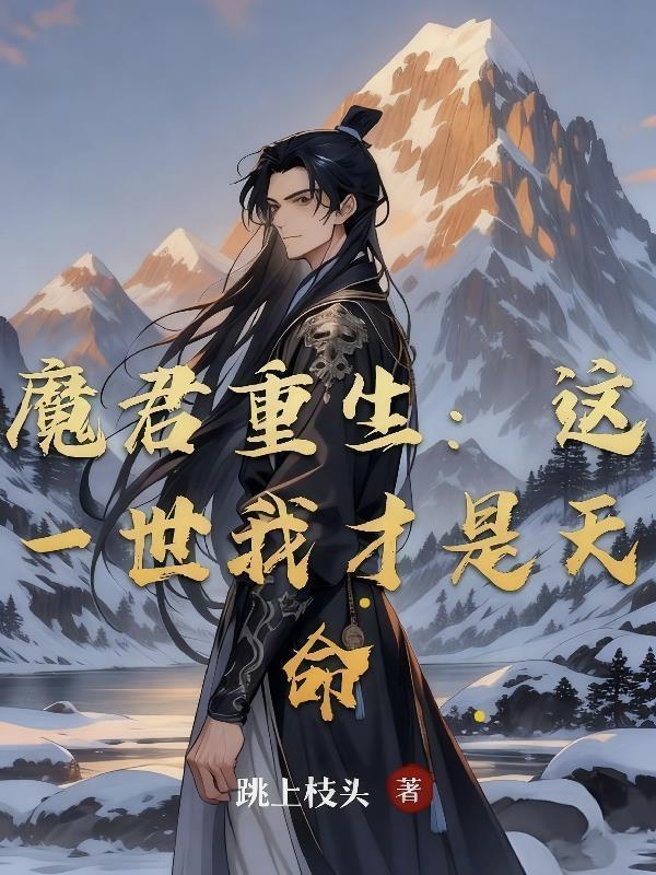 游戏王：我和我的b三狼