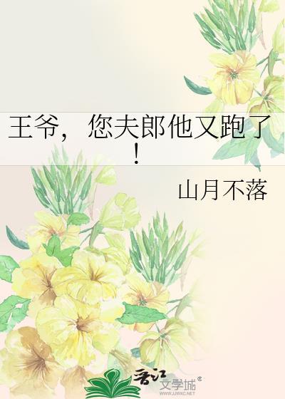 研磨猫猫吸猫指南