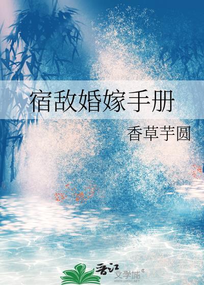 华丽的他封面
