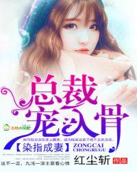 凤凰图腾封面